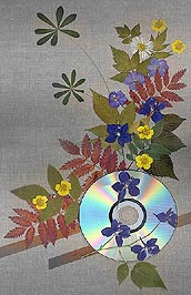 Композиция с CD-ом (рассмотреть: 500х695; 84,8 Кб)